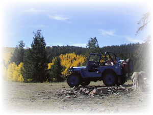 the Blue Mule enjoying the scenery on Aspen Ridge