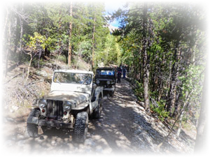 the CFFC heading up to Mt. Antero