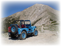the Blue Mule on Mt. Princeton