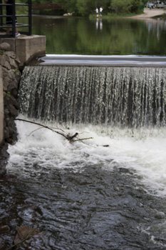 2009 - water outlet at Town Lake