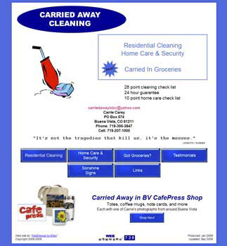 Carried Away Cleaning homepage image