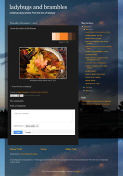 ladybugs and brambles blog site image